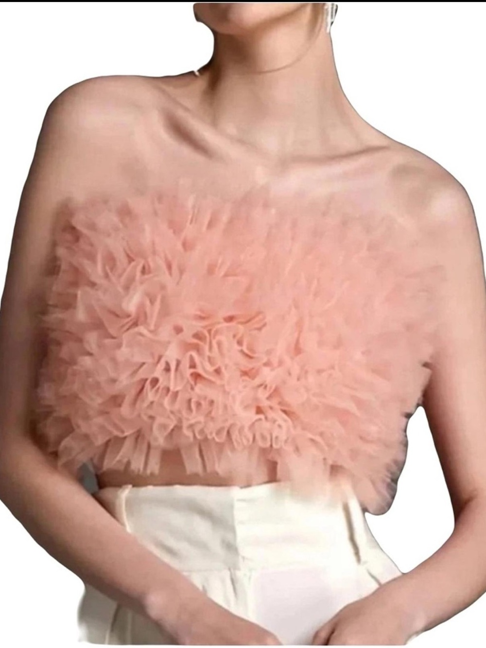 Zara Blush Pink Ruffled Tulle Crop Top
